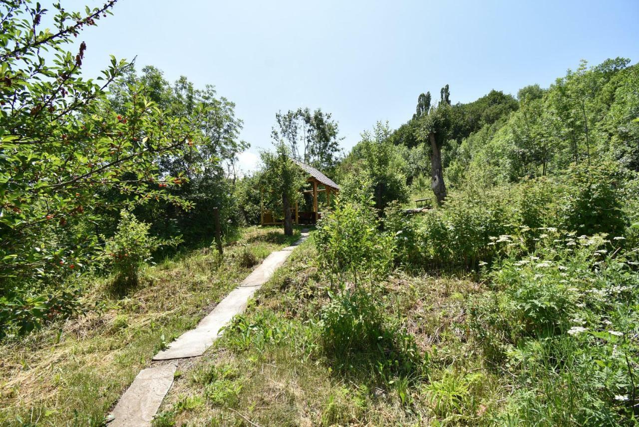 Guest House Arsan Tsaghkadzor Εξωτερικό φωτογραφία
