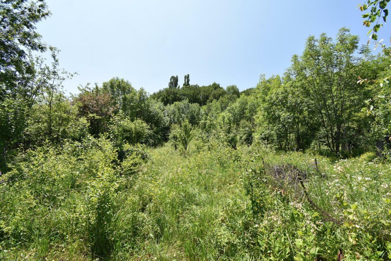 Guest House Arsan Tsaghkadzor Εξωτερικό φωτογραφία